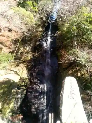 日教教会の自然