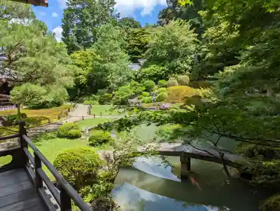 青蓮院門跡の庭園