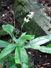 槵觸神社(宮崎県)