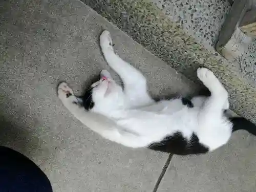 橘神社(千葉県)