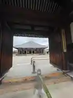 元興寺(奈良県)