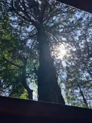 忍男神社（香取神宮摂社）(千葉県)