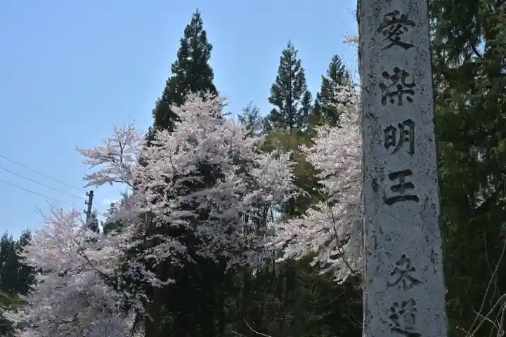 妙高寺(新潟県)
