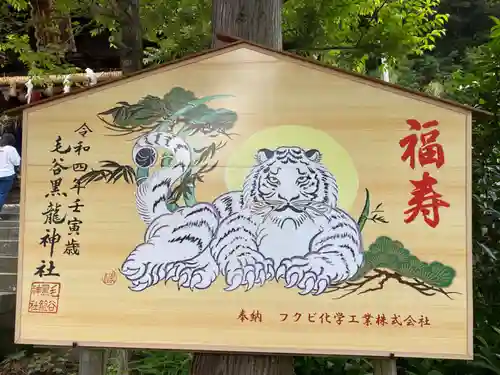 毛谷黒龍神社(福井県)