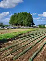 蓮沼神社(栃木県)