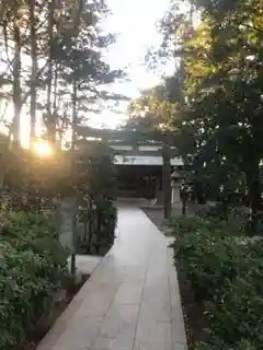 國學院大學神殿の鳥居