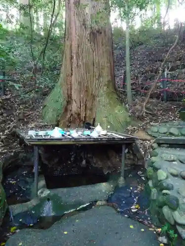 天岩戸神社(宮崎県)