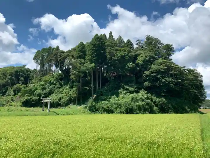 大宮神社(千葉県)