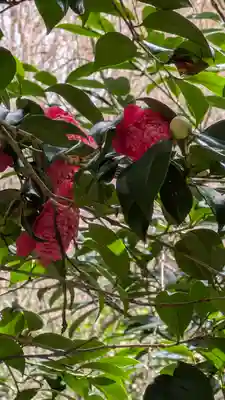 大豊神社(京都府)