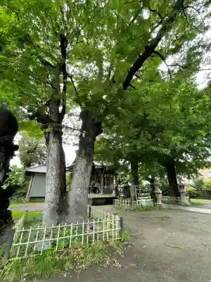 八幡橋八幡神社(神奈川県)