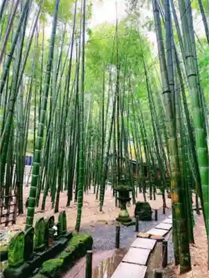 報国寺のその他建物