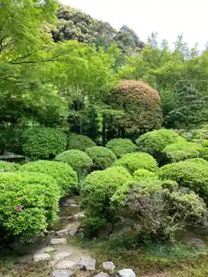 安楽寺(京都府)