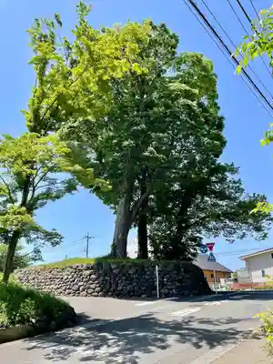 本城稲荷神社(栃木県)