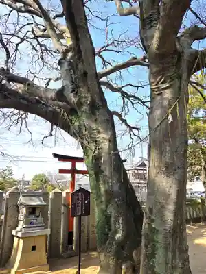 岩屋神社(兵庫県)