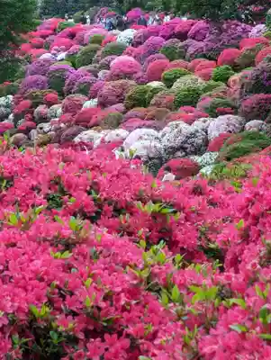 根津神社(東京都)