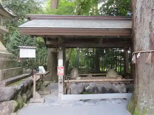 椿大神社の手水舎