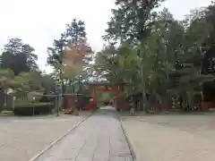 大原野神社の鳥居