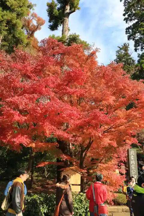 円覚寺(神奈川県)