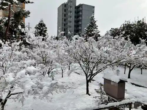 興聖寺の庭園