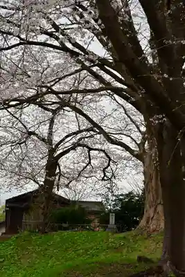 安禅寺(新潟県)