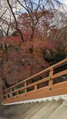 松ヶ崎大黒天 妙圓寺（妙円寺）(京都府)