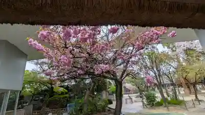 心華寺金港辯財天(京都府)