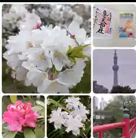 亀戸天神社(東京都)