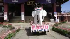 池上本門寺のお祭り