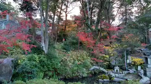 円通寺の庭園