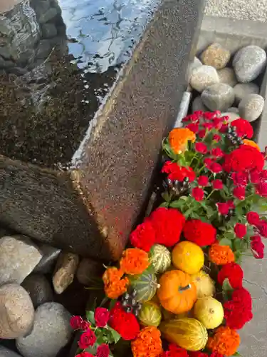 上尾御嶽神社の手水