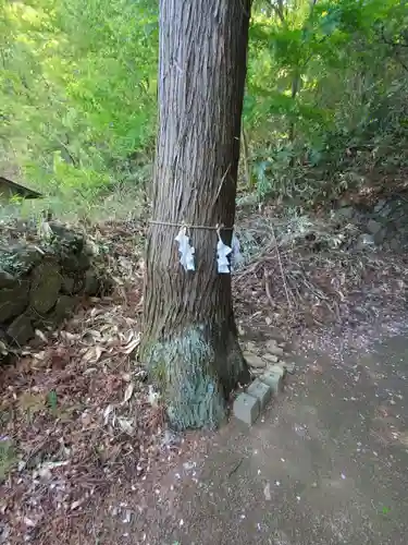 水使神社の自然