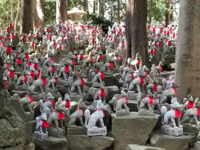 豊川閣　妙厳寺の狛犬