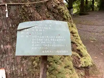 住吉神社の{uncategorized: "未分類", other: "その他", undefined: "問題あり", building: "その他建物", grave: "お墓", sacred_gate: "鳥居", guardian: "狛犬", statue: "像", buddha: "仏像", history: "歴史", nature: "自然", garden: "庭園", animal: "動物", pagoda: "塔", temizu: "手水舎", mountain_gate: "山門・神門", sanctuary: "本殿・本堂", subordinate: "末社・摂社", art: "芸術", scenery: "景色", jizo: "地蔵", ema: "絵馬", goshuin: "御朱印", omikuji: "おみくじ", items: "授与品その他", amulet: "お守り", goshuincho: "御朱印帳", eats: "食事", festival: "お祭り", votive_dance: "神楽", shichigosan: "七五三参", wedding: "結婚式", experience: "体験その他", initially: "初詣", around: "周辺", anti_infection: "感染症対策"}