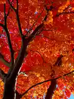 伊達神社の自然