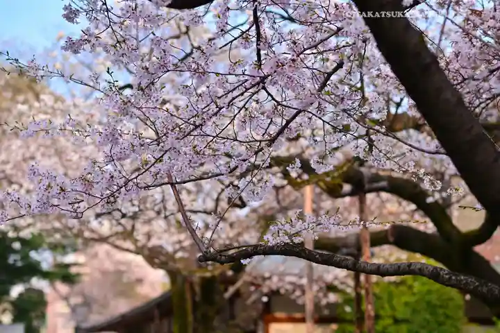 靖國神社(東京都)