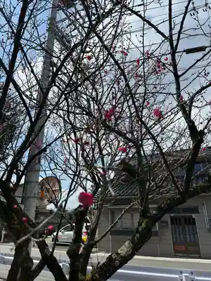 新川神社の自然