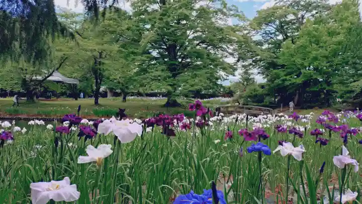 伊佐須美神社(福島県)