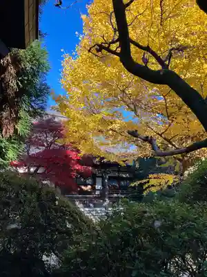 高円寺(東京都)
