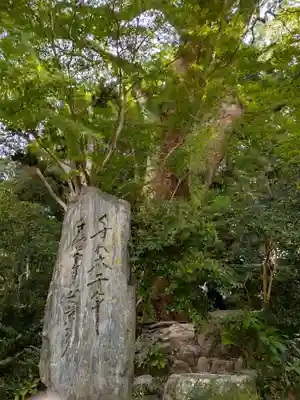 太宰府天満宮の自然