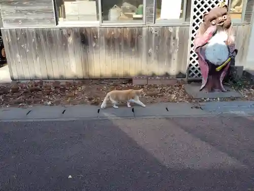 茂林寺(群馬県)