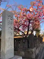 北澤八幡神社の建物その他