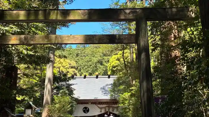 椿大神社の{uncategorized: "未分類", other: "その他", undefined: "問題あり", building: "その他建物", grave: "お墓", sacred_gate: "鳥居", guardian: "狛犬", statue: "像", buddha: "仏像", history: "歴史", nature: "自然", garden: "庭園", animal: "動物", pagoda: "塔", temizu: "手水舎", mountain_gate: "山門・神門", sanctuary: "本殿・本堂", subordinate: "末社・摂社", art: "芸術", scenery: "景色", jizo: "地蔵", ema: "絵馬", goshuin: "御朱印", omikuji: "おみくじ", items: "授与品その他", amulet: "お守り", goshuincho: "御朱印帳", eats: "食事", festival: "お祭り", votive_dance: "神楽", shichigosan: "七五三参", wedding: "結婚式", experience: "体験その他", initially: "初詣", around: "周辺", anti_infection: "感染症対策"}