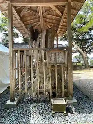泉神社(茨城県)