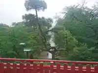 清水観音堂の庭園