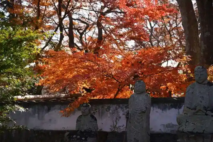 来迎寺(山口県)