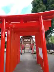 相模原氷川神社の鳥居