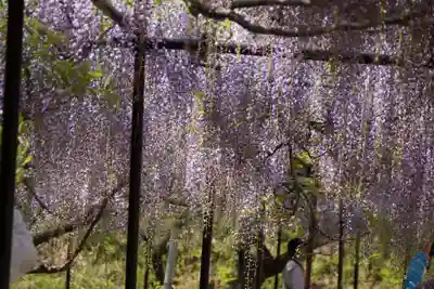 天台宗 五大山 白毫寺(兵庫県)