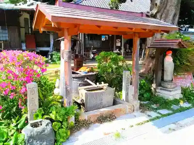 大善院（観蓮寺大善院）の手水舎