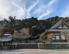 金剛寺(大阪府)