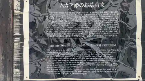 光台寺の{uncategorized: "未分類", other: "その他", undefined: "問題あり", building: "その他建物", grave: "お墓", sacred_gate: "鳥居", guardian: "狛犬", statue: "像", buddha: "仏像", history: "歴史", nature: "自然", garden: "庭園", animal: "動物", pagoda: "塔", temizu: "手水舎", mountain_gate: "山門・神門", sanctuary: "本殿・本堂", subordinate: "末社・摂社", art: "芸術", scenery: "景色", jizo: "地蔵", ema: "絵馬", goshuin: "御朱印", omikuji: "おみくじ", items: "授与品その他", amulet: "お守り", goshuincho: "御朱印帳", eats: "食事", festival: "お祭り", votive_dance: "神楽", shichigosan: "七五三参", wedding: "結婚式", experience: "体験その他", initially: "初詣", around: "周辺", anti_infection: "感染症対策"}